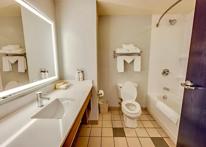 Express & Ohio State University- Osu Medical Center By Ihg Hotel 3*